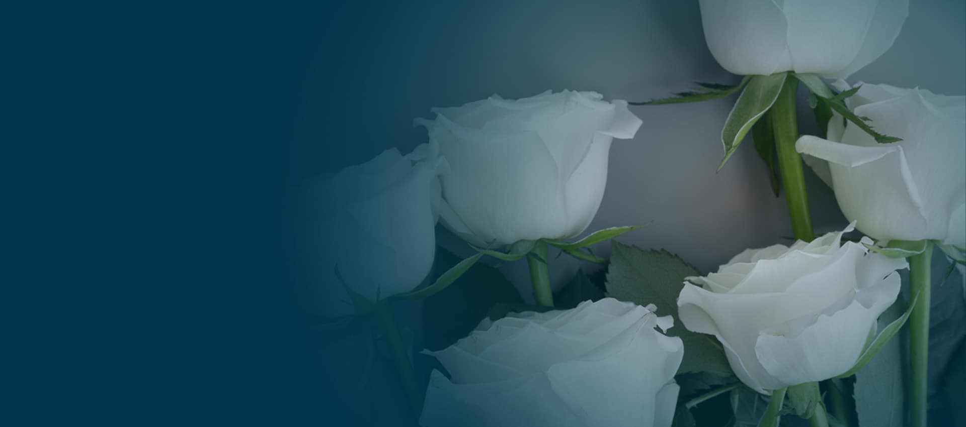 Assistência Funeral